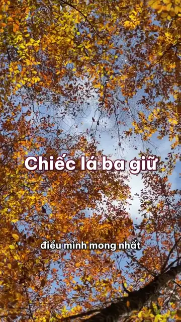 Chiếc lá vàng ba giữ suốt hai mươi năm