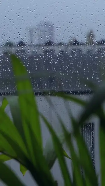 Những ngày mưa